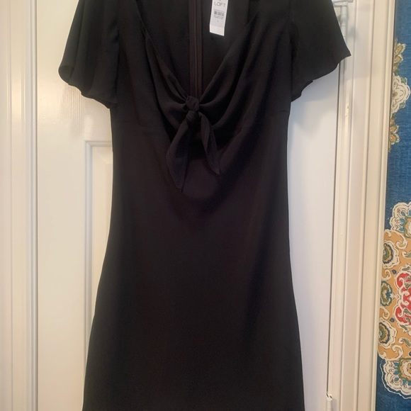 NWT LOFT, Tie front, flutter sleeves. V-neck, fitted waist Dress. - Picture 5 of 5